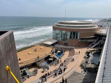 アクアワールド茨城県大洗水族館に投稿された画像（2023/4/5）