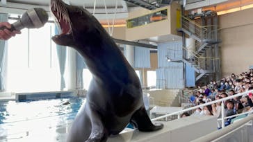 アクアワールド茨城県大洗水族館に投稿された画像（2023/4/5）
