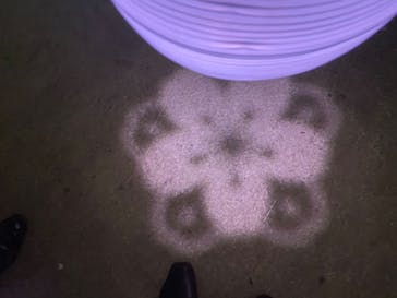 NAKED 桜の新宿御苑 2023に投稿された画像（2023/4/5）