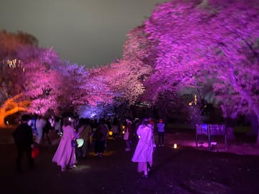 NAKED 桜の新宿御苑 2023に投稿された画像（2023/4/5）