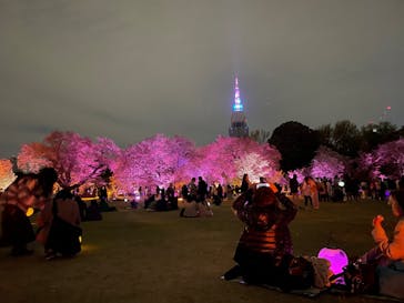 NAKED 桜の新宿御苑 2023に投稿された画像（2023/4/5）