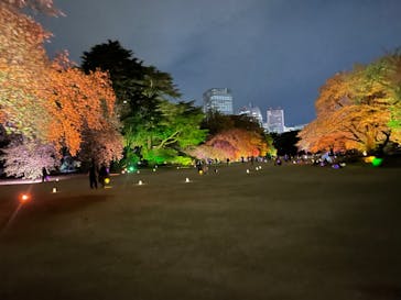 NAKED 桜の新宿御苑 2023に投稿された画像（2023/4/5）