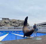 大分マリーンパレス水族館 「うみたまご」に投稿された画像（2023/4/5）