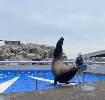 大分マリーンパレス水族館 「うみたまご」に投稿された画像（2023/4/5）