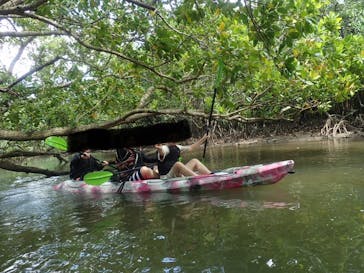 西表島 ADVENTURE PiPi（アドベンチャーピピ）に投稿された画像（2023/4/5）