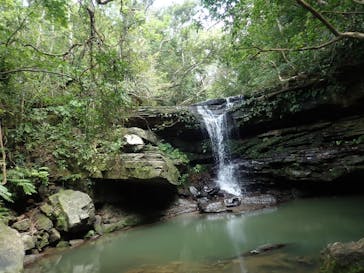 西表島 ADVENTURE PiPi（アドベンチャーピピ）に投稿された画像（2023/4/5）