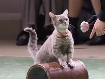 那須どうぶつ王国に投稿された画像（2023/4/5）