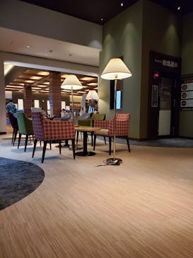 竜泉寺の湯 八王子みなみ野店に投稿された画像（2023/4/5）