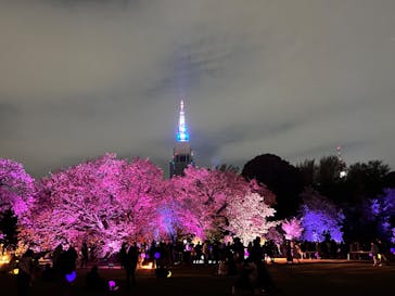 NAKED 桜の新宿御苑 2023に投稿された画像（2023/4/5）