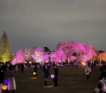 NAKED 桜の新宿御苑 2023に投稿された画像（2023/4/5）