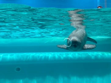 マリンワールド海の中道に投稿された画像（2023/4/5）