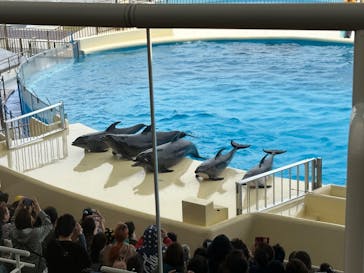 マリンワールド海の中道に投稿された画像（2023/4/5）