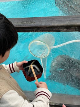 マリンワールド海の中道に投稿された画像（2023/4/5）