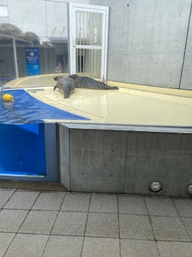 島根県立 しまね海洋館に投稿された画像（2023/4/5）