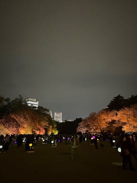 NAKED 桜の新宿御苑 2023に投稿された画像（2023/4/5）