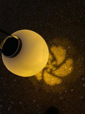 NAKED 桜の新宿御苑 2023に投稿された画像（2023/4/5）