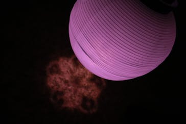 NAKED 桜の新宿御苑 2023に投稿された画像（2023/4/5）