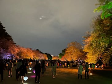 NAKED 桜の新宿御苑 2023に投稿された画像（2023/4/5）