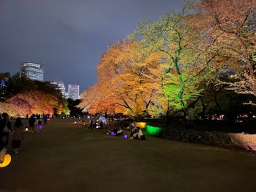 NAKED 桜の新宿御苑 2023に投稿された画像（2023/4/5）