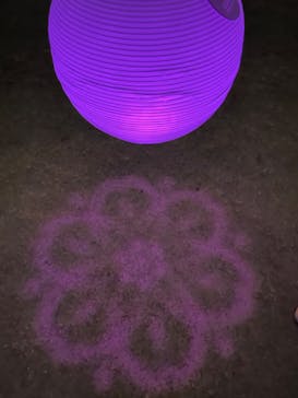 NAKED 桜の新宿御苑 2023に投稿された画像（2023/4/5）