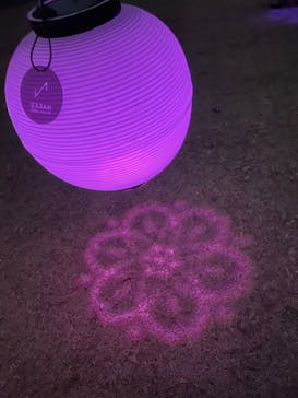 NAKED 桜の新宿御苑 2023に投稿された画像（2023/4/5）