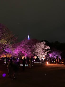 NAKED 桜の新宿御苑 2023に投稿された画像（2023/4/5）