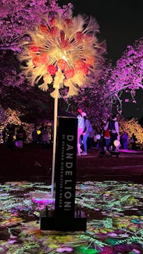 NAKED 桜の新宿御苑 2023に投稿された画像（2023/4/5）