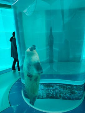 マリンワールド海の中道に投稿された画像（2023/4/5）