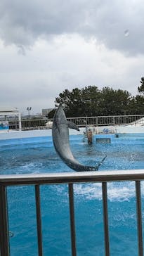 マリンワールド海の中道に投稿された画像（2023/4/5）