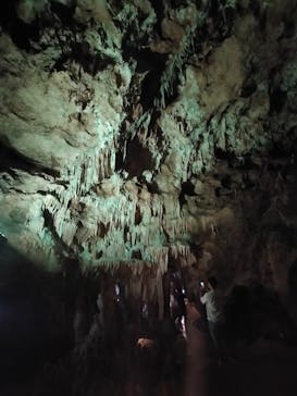 石垣島鍾乳洞に投稿された画像（2023/4/5）