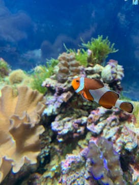 名古屋港水族館に投稿された画像（2023/4/5）