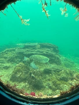 串本海中公園水族館に投稿された画像（2023/4/5）
