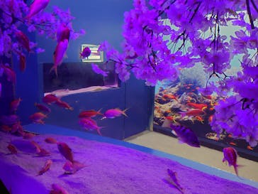 伊豆・三津シーパラダイスに投稿された画像（2023/4/6）