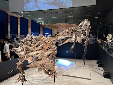 特別展「恐竜博2023」に投稿された画像（2023/4/6）