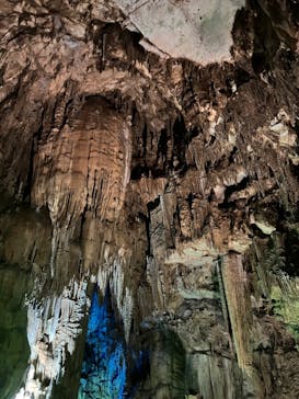 あぶくま洞に投稿された画像（2023/4/6）