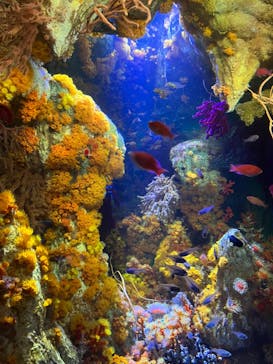 サンシャイン水族館に投稿された画像（2023/4/6）