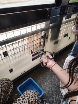 群馬サファリパークに投稿された画像（2023/4/6）