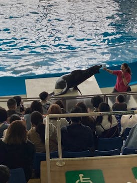 アクアワールド茨城県大洗水族館に投稿された画像（2023/4/6）