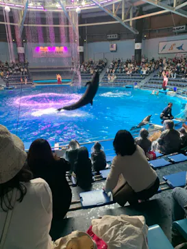 マクセル アクアパーク品川に投稿された画像（2023/4/6）