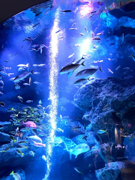 すみだ水族館に投稿された画像（2023/4/6）