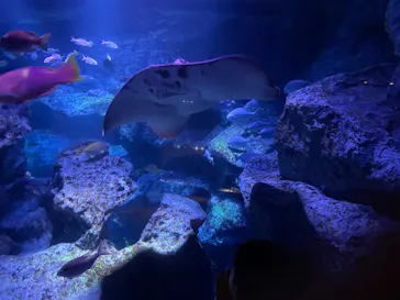 すみだ水族館に投稿された画像（2023/4/6）