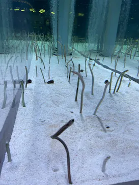 すみだ水族館に投稿された画像（2023/4/6）