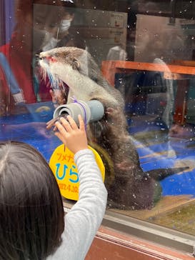 ゼロ距離水族館 伊勢シーパラダイスに投稿された画像（2023/4/6）