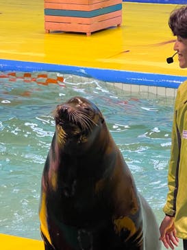 ゼロ距離水族館 伊勢シーパラダイスに投稿された画像（2023/4/6）