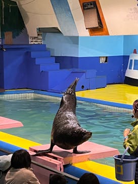 ゼロ距離水族館 伊勢シーパラダイスに投稿された画像（2023/4/6）