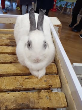 アニタッチみなとみらいに投稿された画像（2023/4/6）