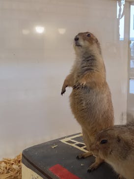 アニタッチみなとみらいに投稿された画像（2023/4/6）