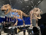 特別展「恐竜博2023」に投稿された画像（2023/4/6）