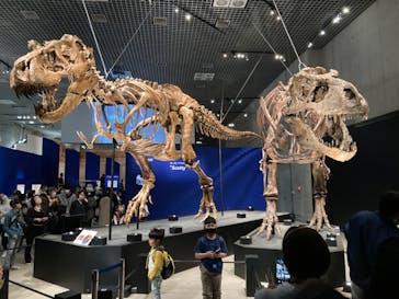 特別展「恐竜博2023」に投稿された画像（2023/4/6）