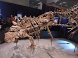 特別展「恐竜博2023」に投稿された画像（2023/4/6）